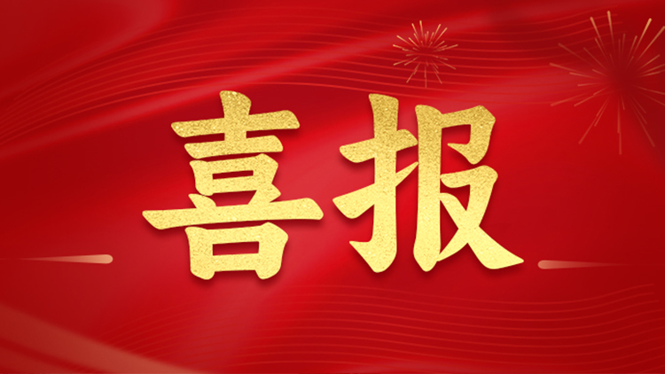 聯(lián)誠科技集團榮獲“誠信企業(yè)獎”、“優(yōu)質(zhì)工程獎”兩項榮譽